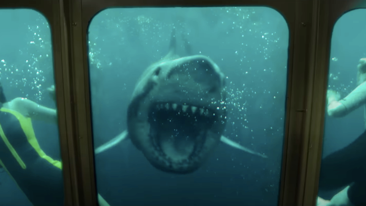 Ein Hai schwimmt in „47 Meters Down: Uncaged“ mit offenem Maul auf ein Fenster zu.