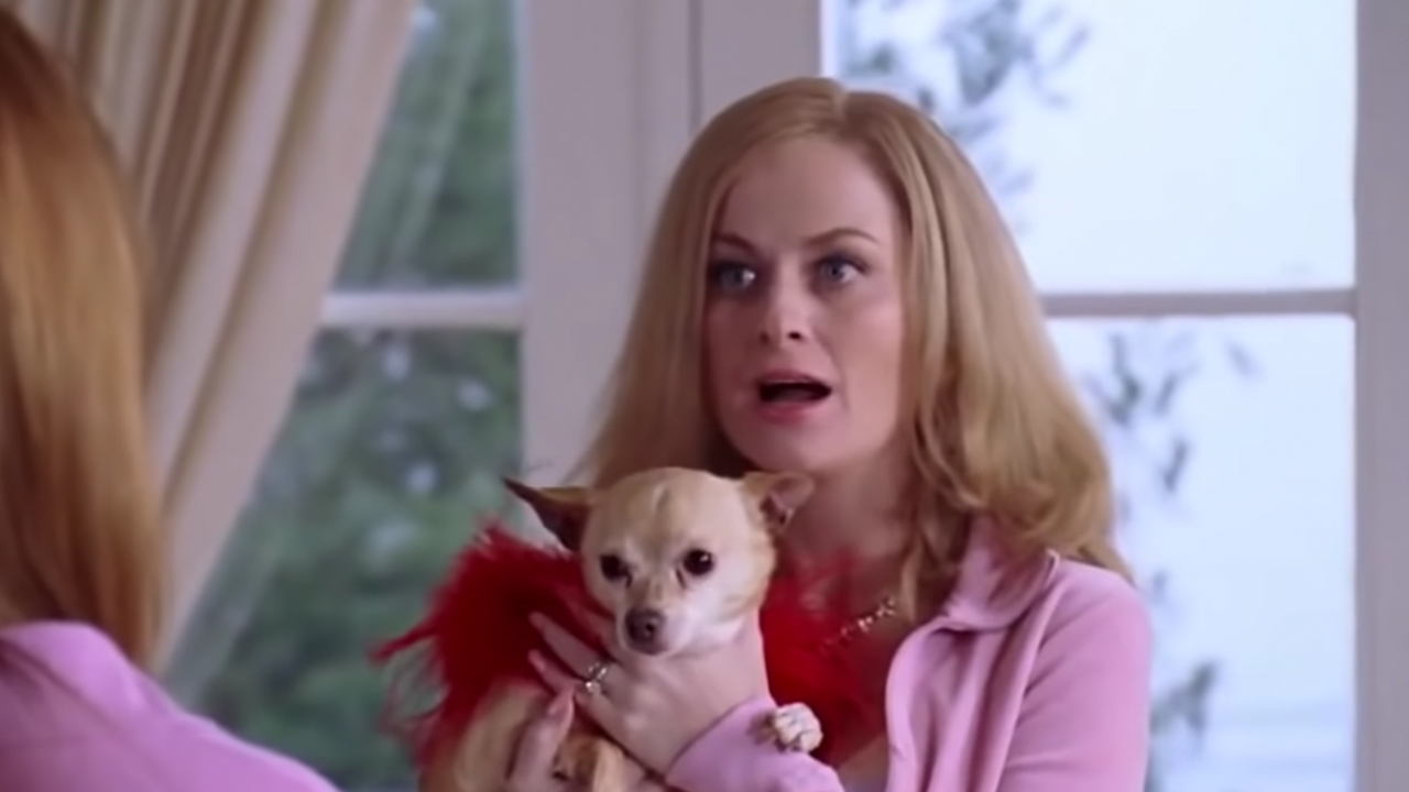 Amy Poehler in „Mean Girls“.