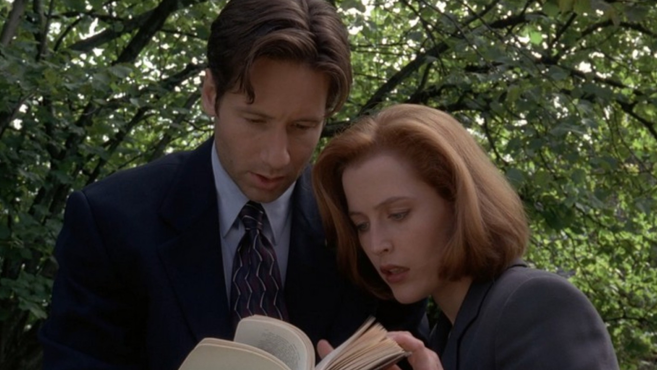 David Duchovny und Gillian Anderson über Akte X