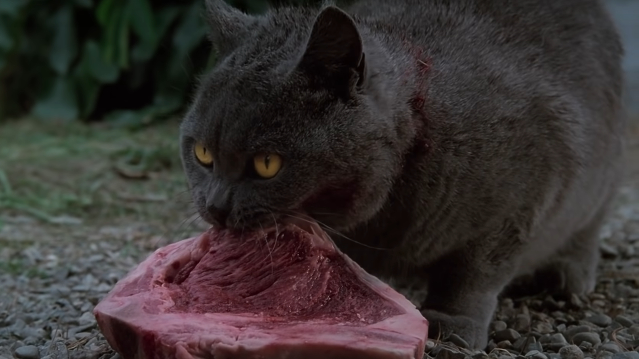 Église du Pet Sematary (1989)