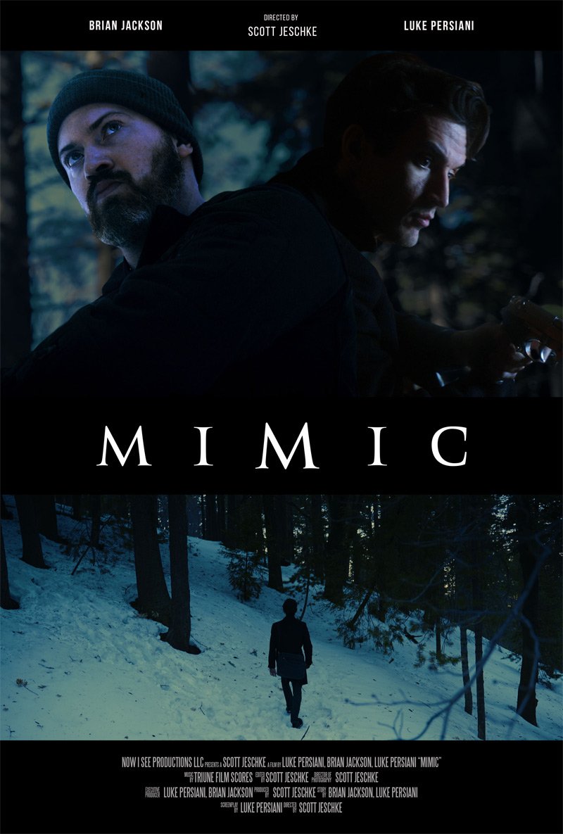 Mimik-Poster