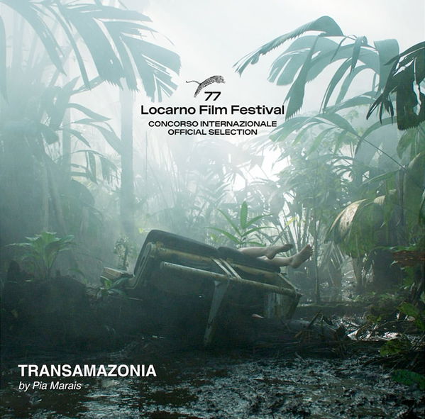 Affiche de Transamazonie