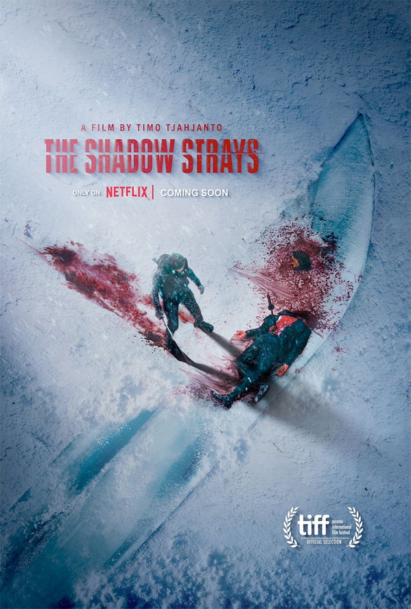 Плакат «The Shadow Strays»